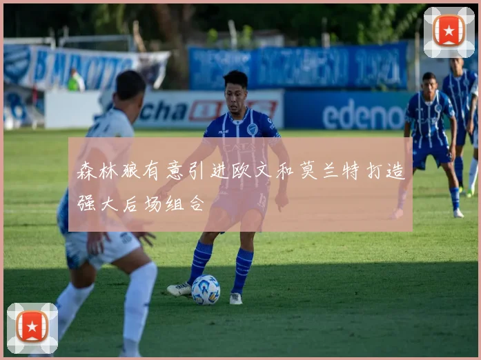 森林狼有意引进欧文和莫兰特打造强大后场组合