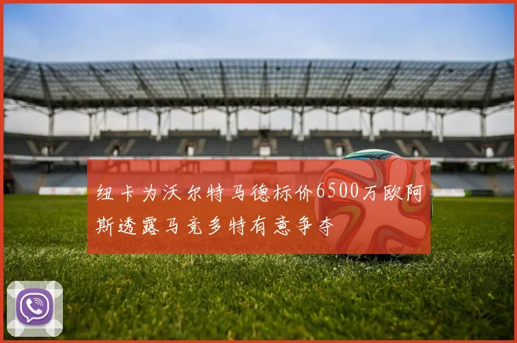 纽卡为沃尔特马德标价6500万欧阿斯透露马竞多特有意争夺